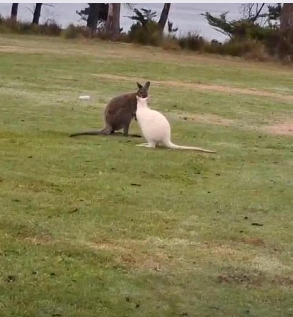 Holiday home Secret Spot - Bruny Island Lunawanna